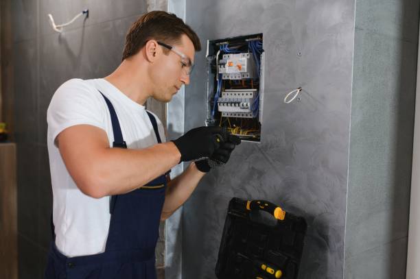 Best Electrical Outlet Repair  in Carlisle, IA
