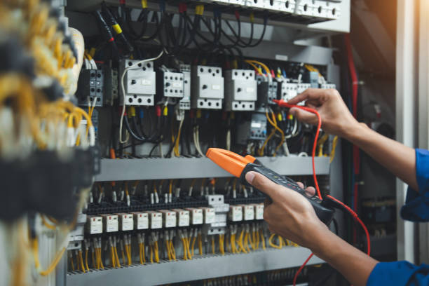 Best Electric Panel Repair  in Carlisle, IA