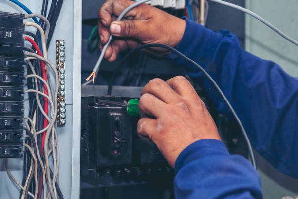 Best Electrical System Inspection  in Carlisle, IA